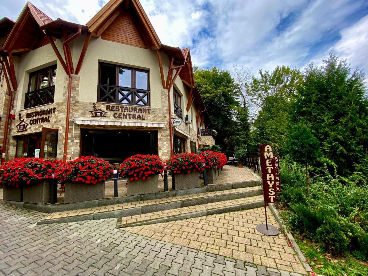 Amethyst Bed & Breakfast Sovata Ngoại thất bức ảnh